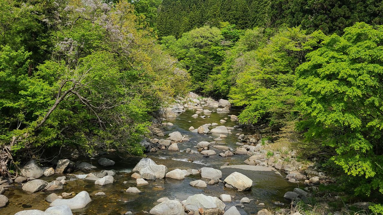 sitoki-river